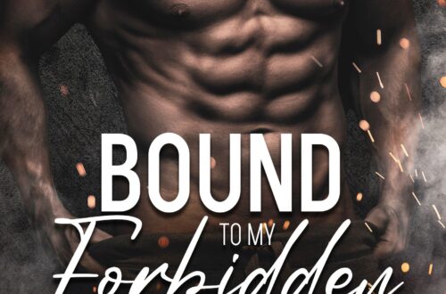 enemies to lovers small town romance book